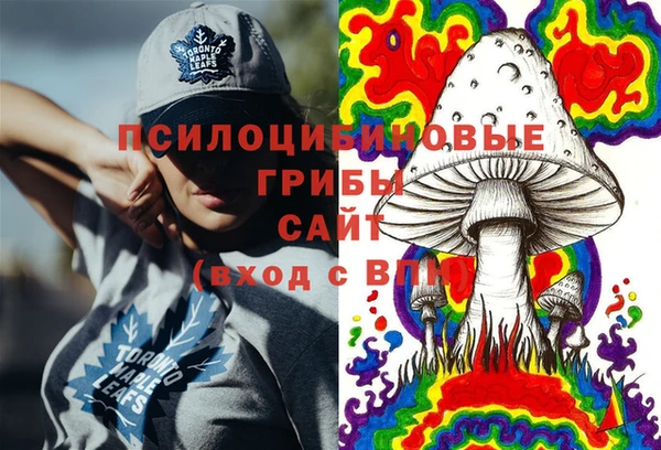 MDMA Бородино
