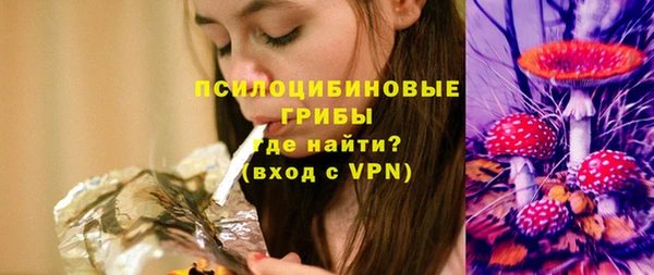сатива Бронницы