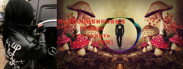 jwh Бугульма