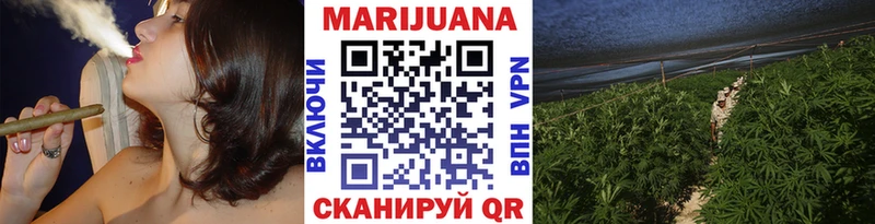 Бошки Шишки сатива  Шумерля 